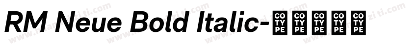 RM Neue Bold Italic字体转换